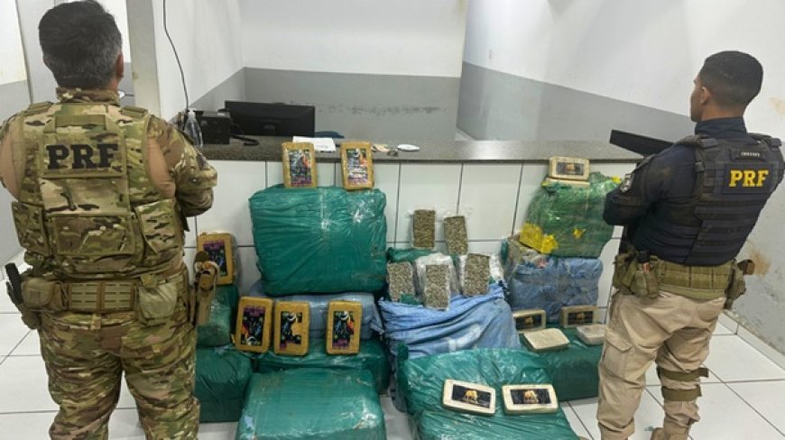 PRF apreende mais de 360 kg de drogas escondidos em carga de milho no Maranhão