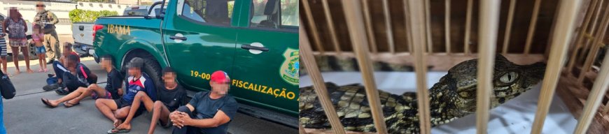Oito pessoas são presas em operação contra o tráfico de fauna no RJ
