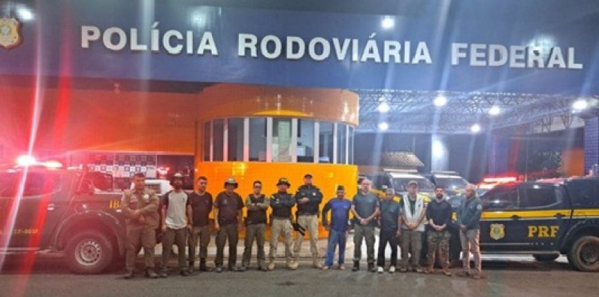 PRF resgata 48 animais silvestres na BR-222