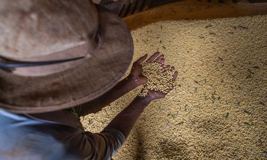 Governo amplia crédito a pequenos produtores do Norte e Centro-Oeste