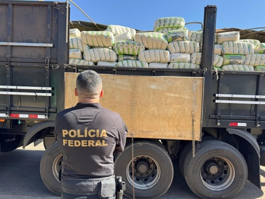 PF doa mais de 36 toneladas de arroz apreendido durante uma ação policial em Goiás