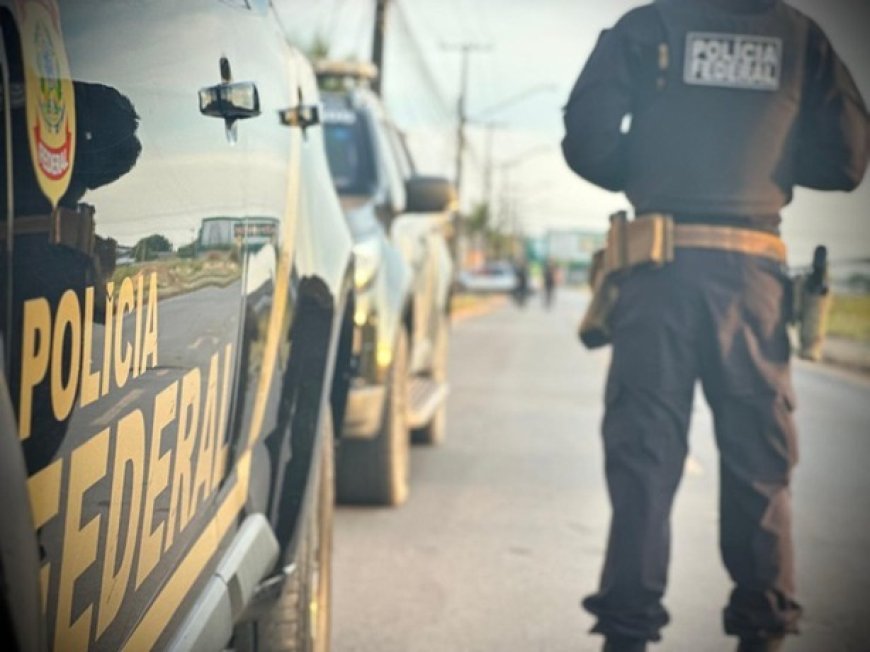 PF combate comércio ilegal de armas por meio de rifas em grupos de WhatsApp em Mato Grosso do Sul