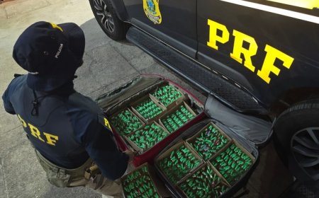 Mulher é presa com substância análoga a "lança-perfume" em ônibus interestadual na BR-040