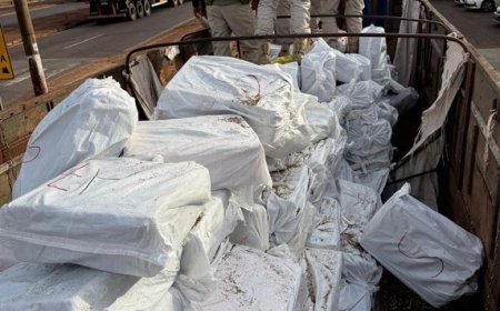 PRF apreende mais de 7 toneladas de maconha em Maracaju (MS)