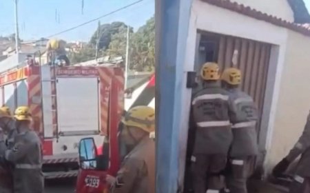 Idosa de 75 anos morre após ser atacada por pit bull dentro de casa