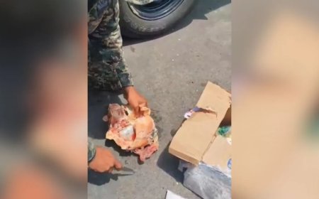 Polícia apreende drogas escondidas em alimentos em operação em Fernando de Noronha