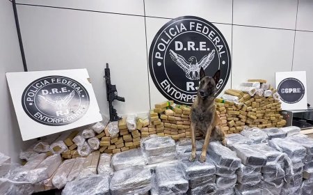 PF prende caminhoneiro com 960 kg de maconha e fuzil no Rio de Janeiro