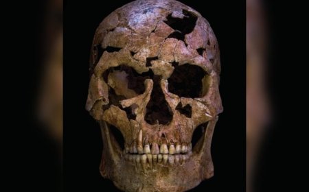 Cientistas desvendam assassinato de homem que morreu há 12 mil anos