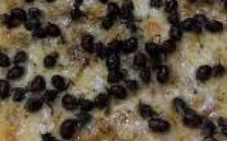 Pizza inusitada de Tanajura viraliza nas redes sociais