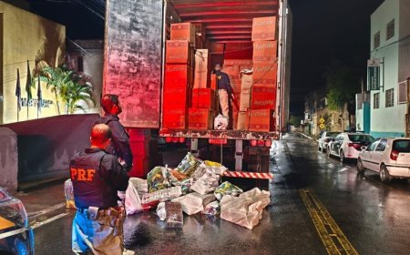 Mais de 700 quilos de maconha são apreendidos em carga de panetone