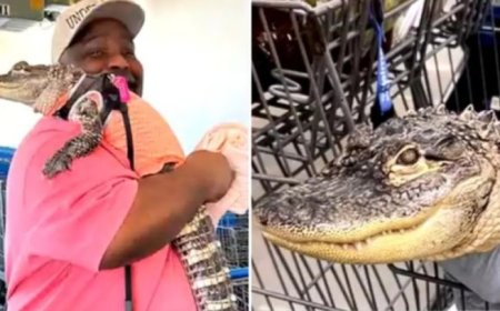 Cliente é impedido de entrar em supermercado com jacaré de apoio emocional