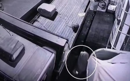 Agricultor dorme embaixo de caminhão e morre atropelado