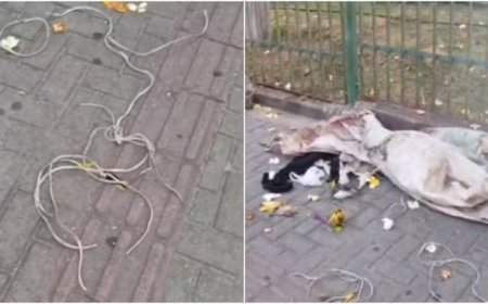 Corpo de homem é encontrado enrolado em lona na calçada de Catedral