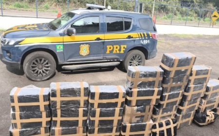 PRF apreende cerca de 2 toneladas de maconha na BR-267