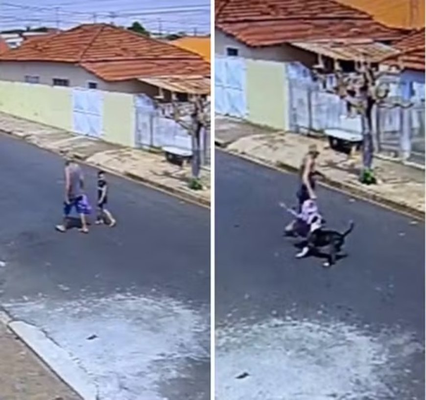 Idoso é atacado por pitbull enquanto levava bisneta para escola