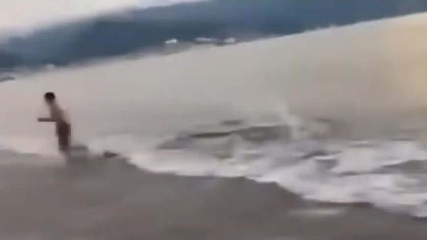 Homem escapa por segundos de ataque de crocodilo em praia turística