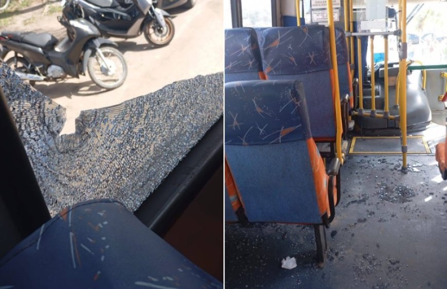 Passageiro de 80 anos morre após ser baleado dentro de ônibus na BR-101