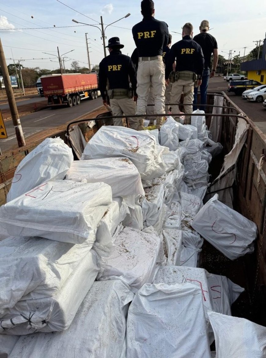 PRF apreende mais de 7 toneladas de maconha em Maracaju (MS)