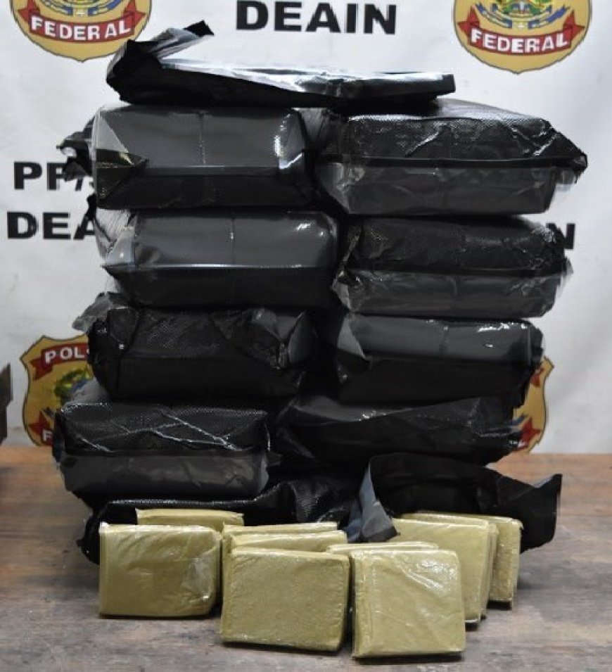 PF prende estadunidense com 32 kg de haxixe e três nigerianos que transportavam droga no estômago