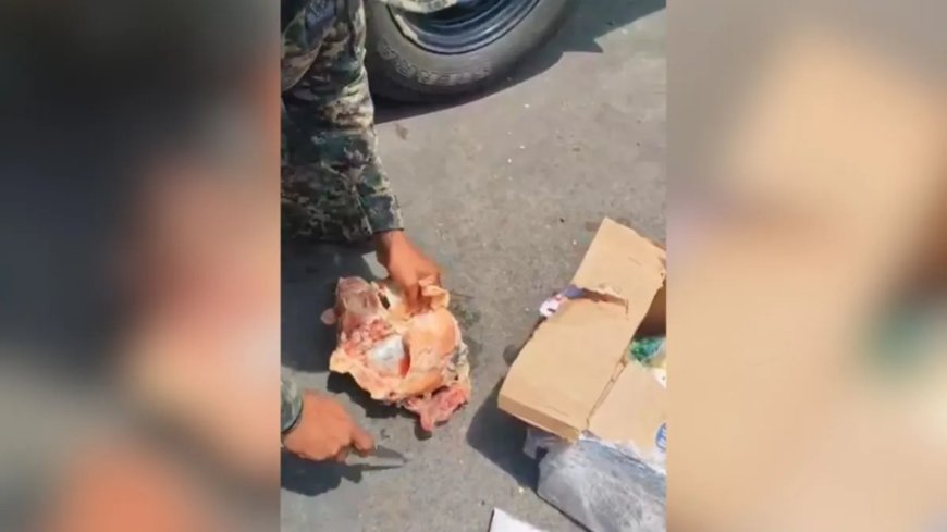 Polícia apreende drogas escondidas em alimentos em operação em Fernando de Noronha