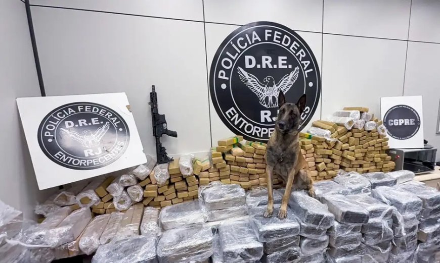 PF prende caminhoneiro com 960 kg de maconha e fuzil no Rio de Janeiro