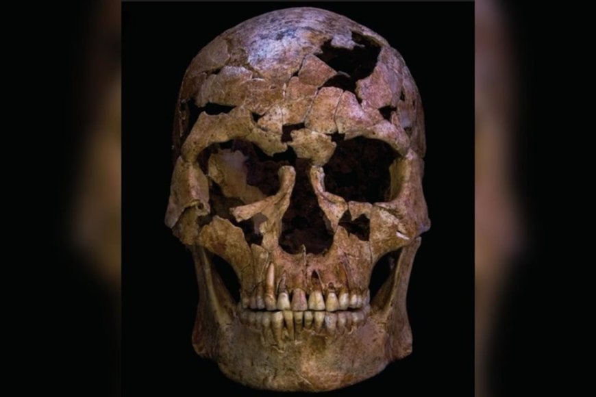 Cientistas desvendam assassinato de homem que morreu há 12 mil anos