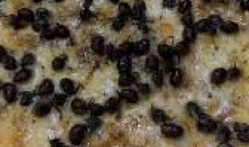 Pizza inusitada de Tanajura viraliza nas redes sociais