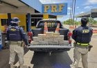 Adolescente de 17 anos é apreendida com mais de 20 kg de maconha em bagagem