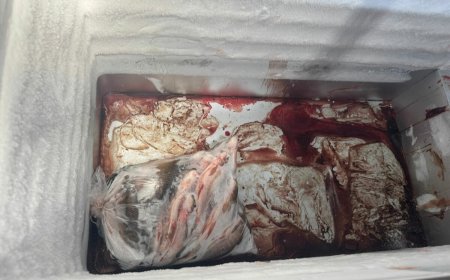 Mãe e filho são presos em Piracanjuba por vender 750 kg de peixe sem higiene e sem origem comprovada