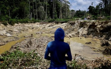 PF apreende R$ 28 milhões em barras de ouro em Roraima