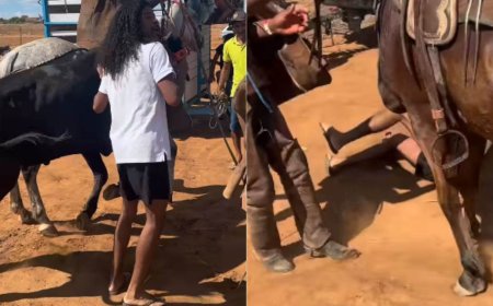 VÍDEO | Influenciador leva coice durante vaquejada e viraliza na web: “Ele voou longe”