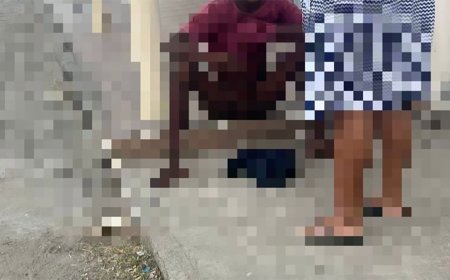 Pit bull morde pênis de adolescente que tentou pular muro