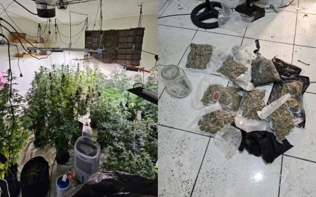 "Sobrado da maconha" tinha climatizador e até sistema de duto