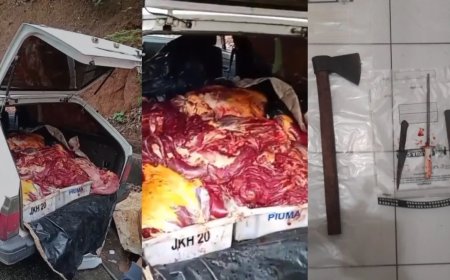 "Churrasquinho de cavalo": dupla é presa por vender carne clandestina no ES