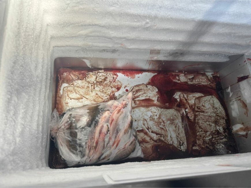 Mãe e filho são presos em Piracanjuba por vender 750 kg de peixe sem higiene e sem origem comprovada