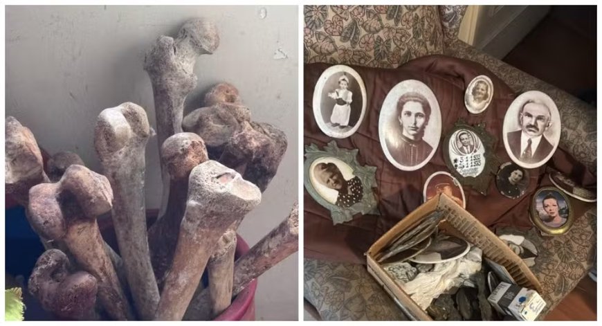 Mais de 10 crânios e ossos humanos são encontrados em apartamento de bairro nobre de São Paulo