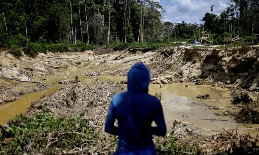 PF apreende R$ 28 milhões em barras de ouro em Roraima