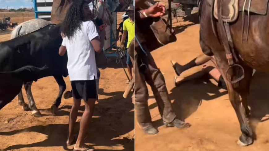 VÍDEO | Influenciador leva coice durante vaquejada e viraliza na web: “Ele voou longe”