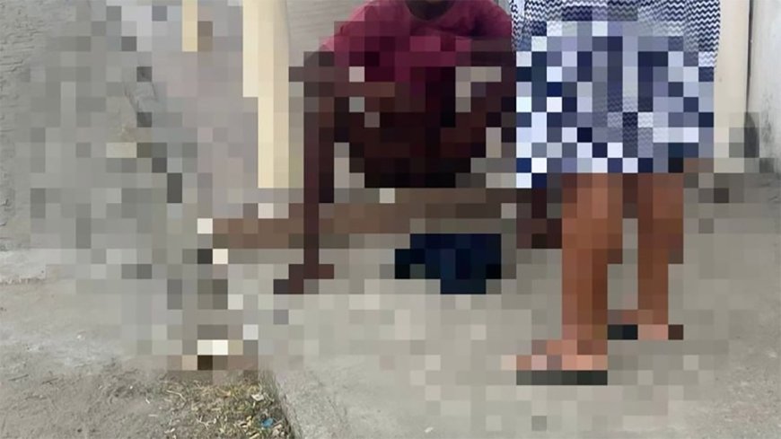 Pit bull morde pênis de adolescente que tentou pular muro