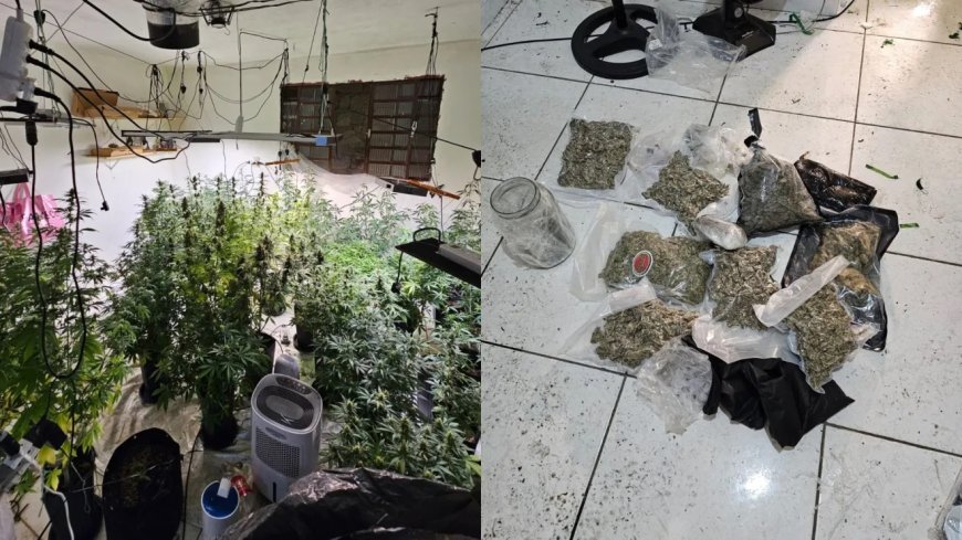 "Sobrado da maconha" tinha climatizador e até sistema de duto