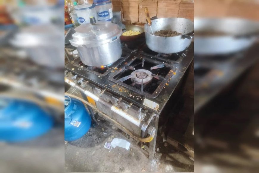 Fábrica clandestina de salgados e pizzas é fechada por infestação de baratas
