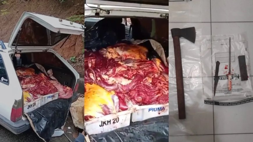 "Churrasquinho de cavalo": dupla é presa por vender carne clandestina no ES