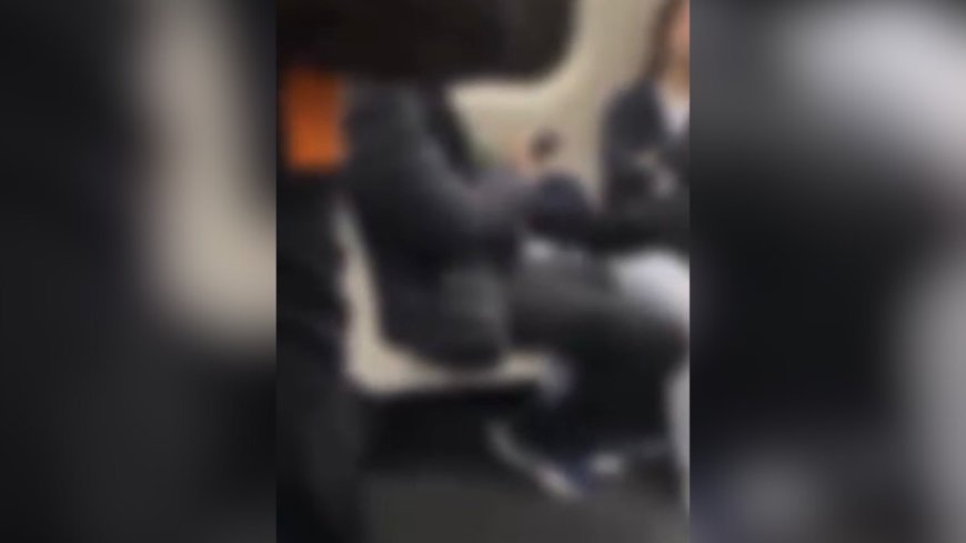 Vídeo: homem se masturba em trem de SP e é flagrado por passageira