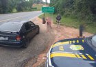 PRF flagra adolescente de 14 anos dirigindo carro com sete familiares na BR-101, na divisa entre ES e RJ