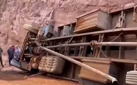 Caminhão boiadeiro tomba na MA-008 e deixa animais mortos entre Paulo Ramos e Marajá do Sena