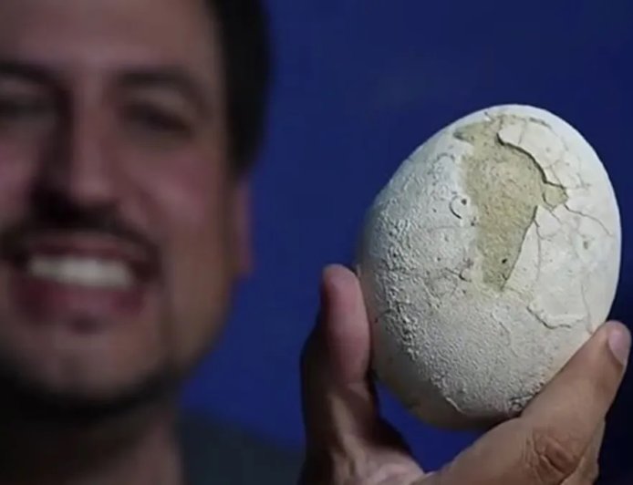 Ovo de dinossauro de 70 milhões de anos é achado intacto na Patagônia