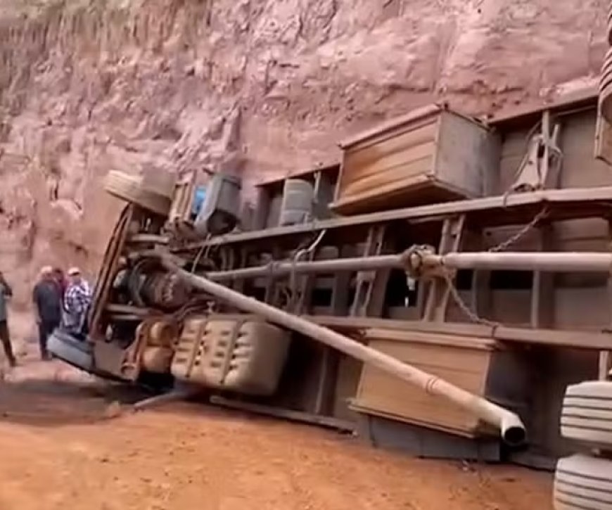 Caminhão boiadeiro tomba na MA-008 e deixa animais mortos entre Paulo Ramos e Marajá do Sena