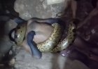 Vídeo: jiboia gigante mata homem asfixiado