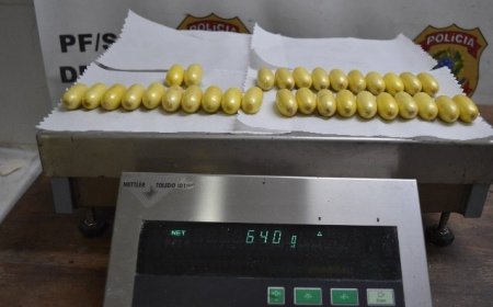 PF prende homem com cocaína no estômago e detém estrangeiro por documento falso em aeroporto