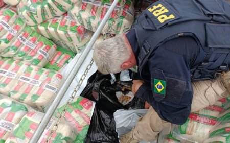 PRF apreende mais de 3 toneladas de maconha escondidas sob carga de arroz no Paraná